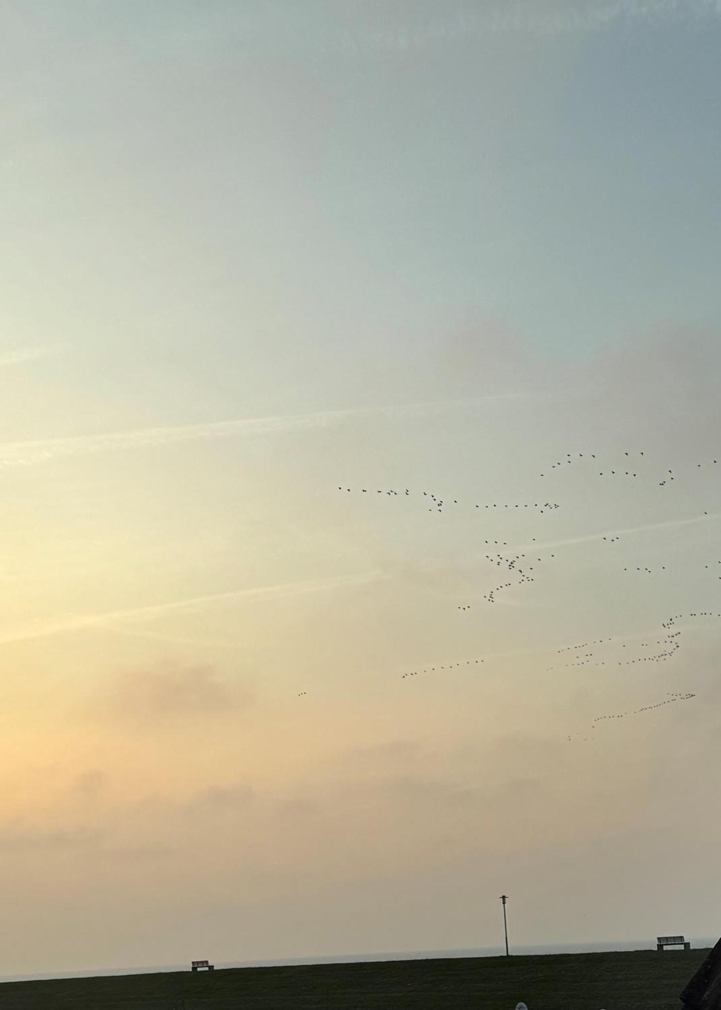 Meerzeit Strandhotel Neuharlingersiel Eksteriør billede